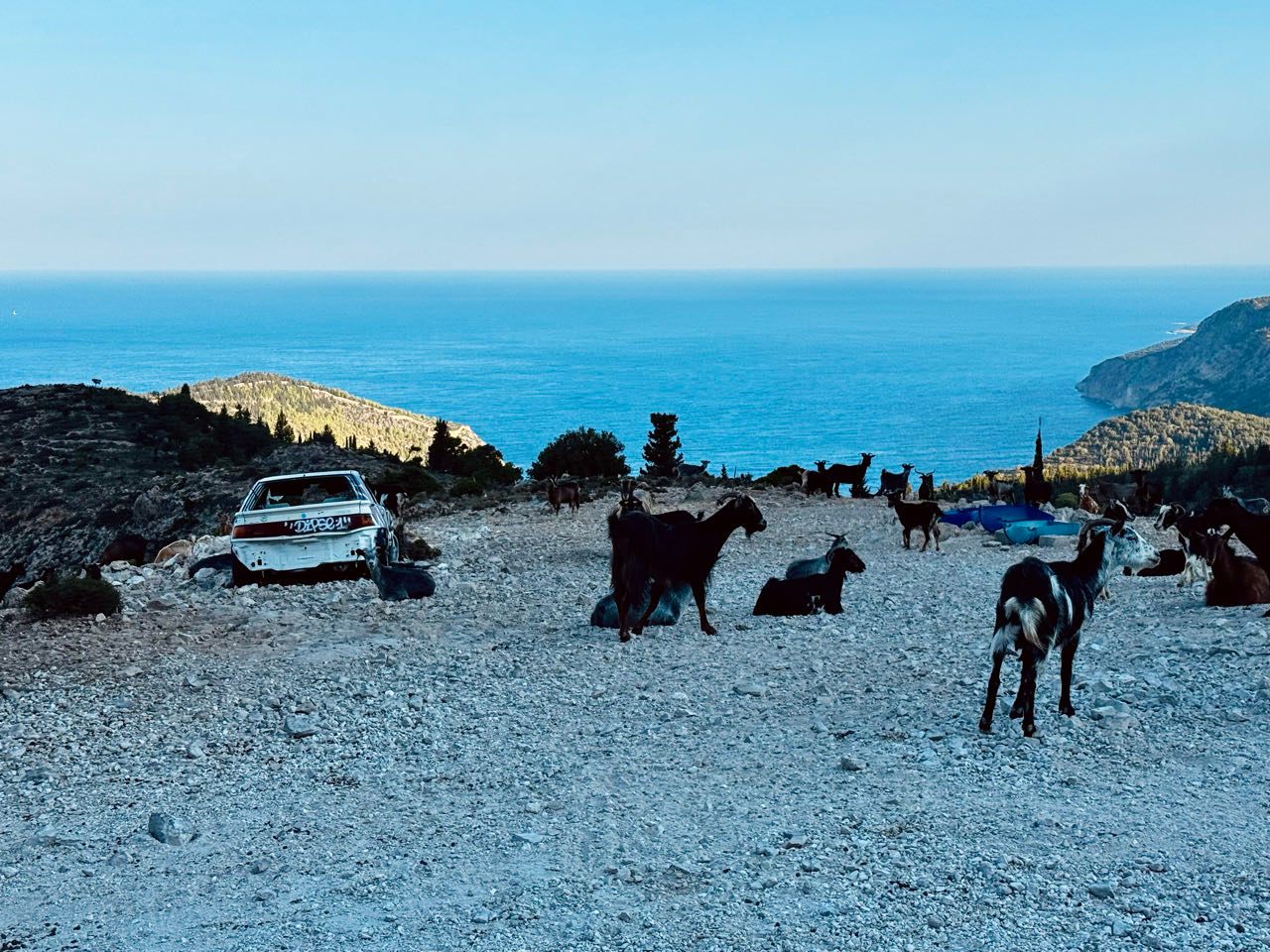 immer wieder Blockade :-)