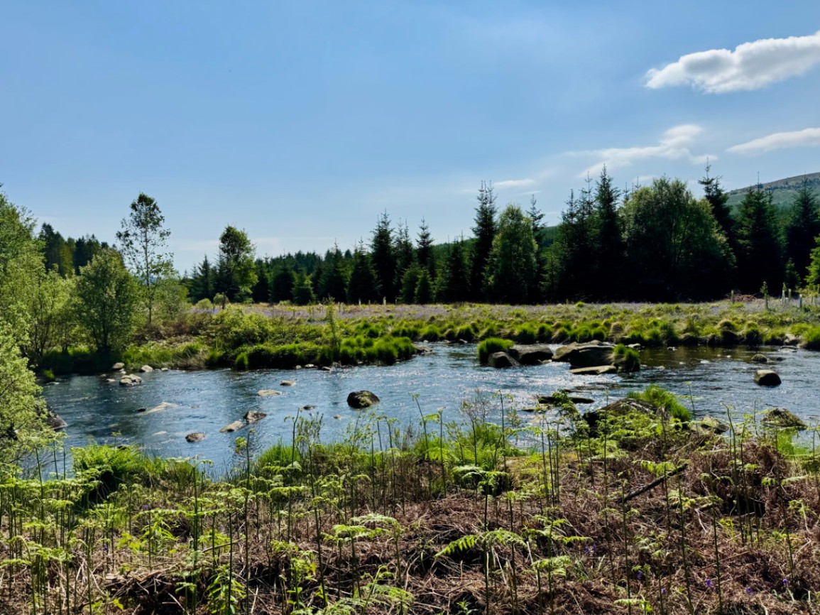 Wunderschöne Landschaft im Park