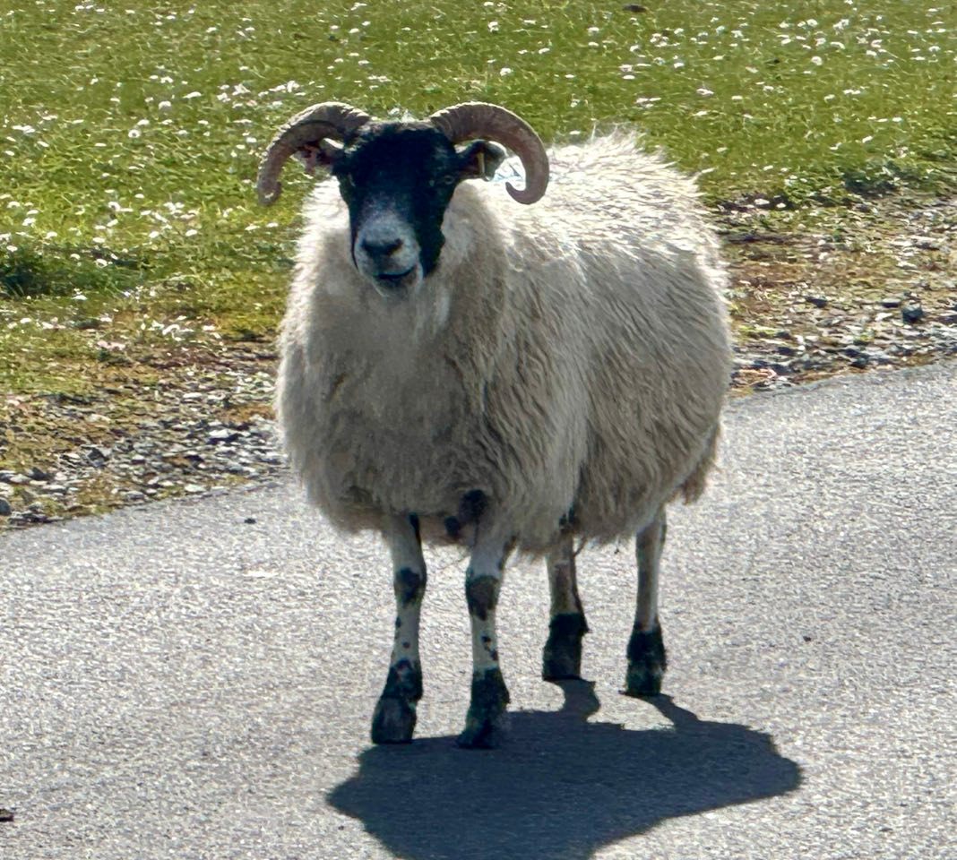 Straßenblockade