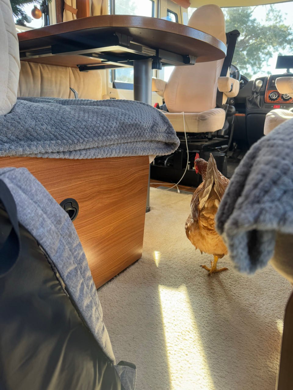 und sogar im WoMo :-)