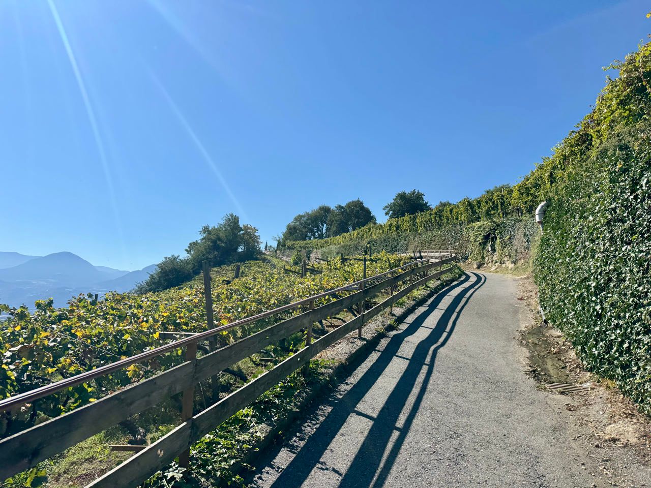 Traminer Weinstrasse
