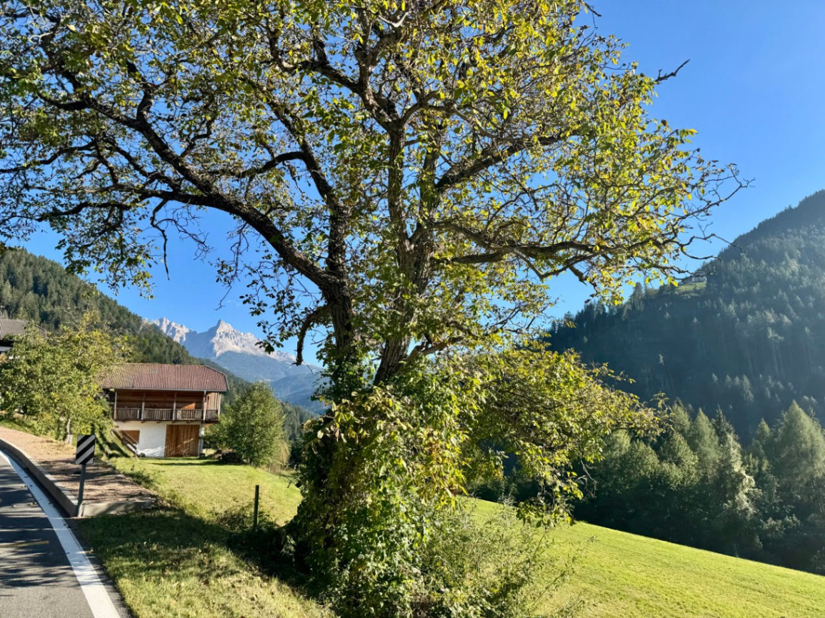 Rauf zur Untereggerhof