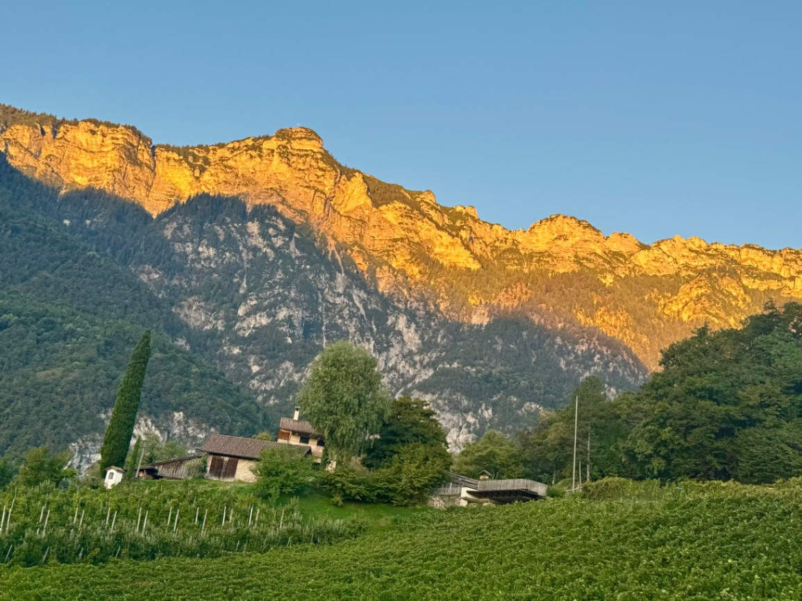 Sonnenaufgang auf der Alm