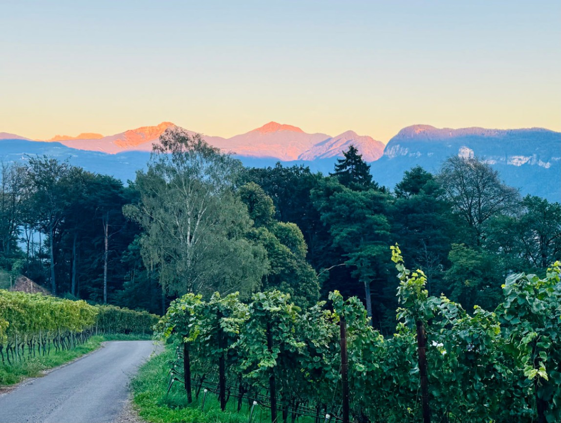 Unser Blick am Abend