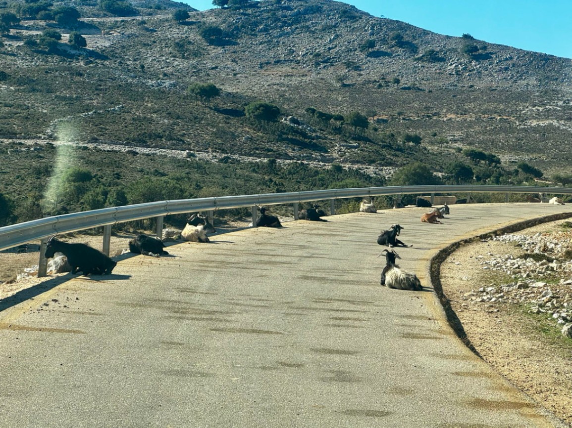 wieder einmal Sitzblockade :-)