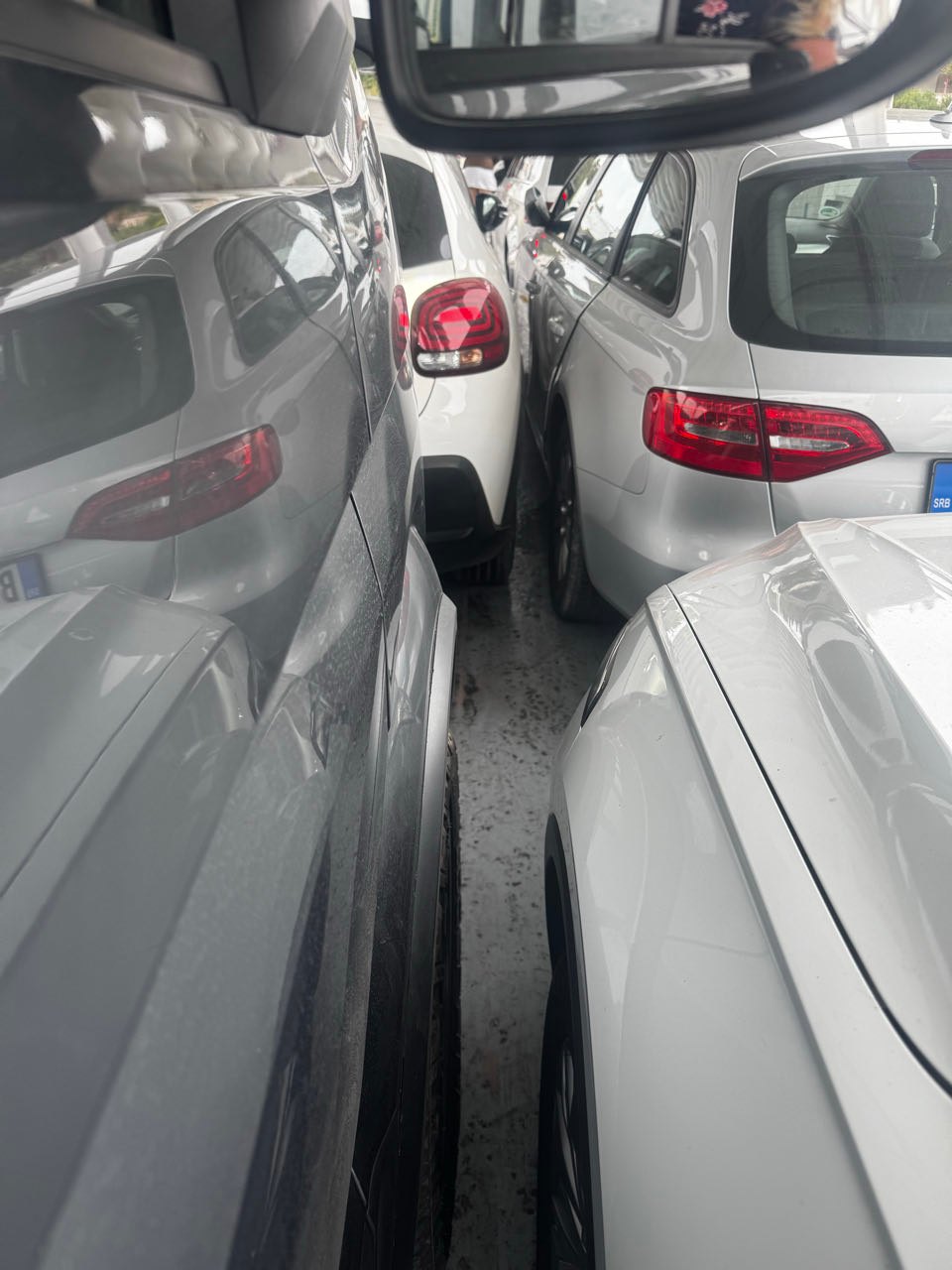 Schlichten ...alle wollen mit!