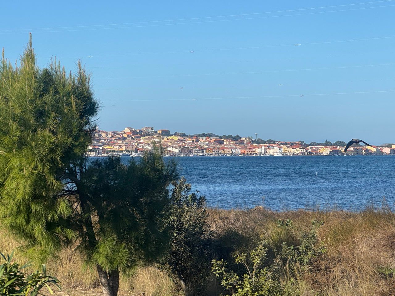 Blick schon auf die Halbinsel