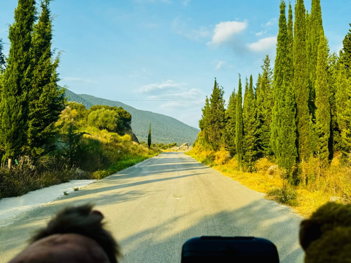 Durch wunderschöne grüne Wälder