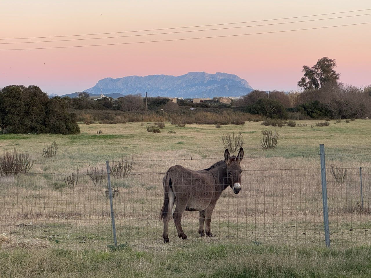 immer in Gesellschaft am Stellplatz